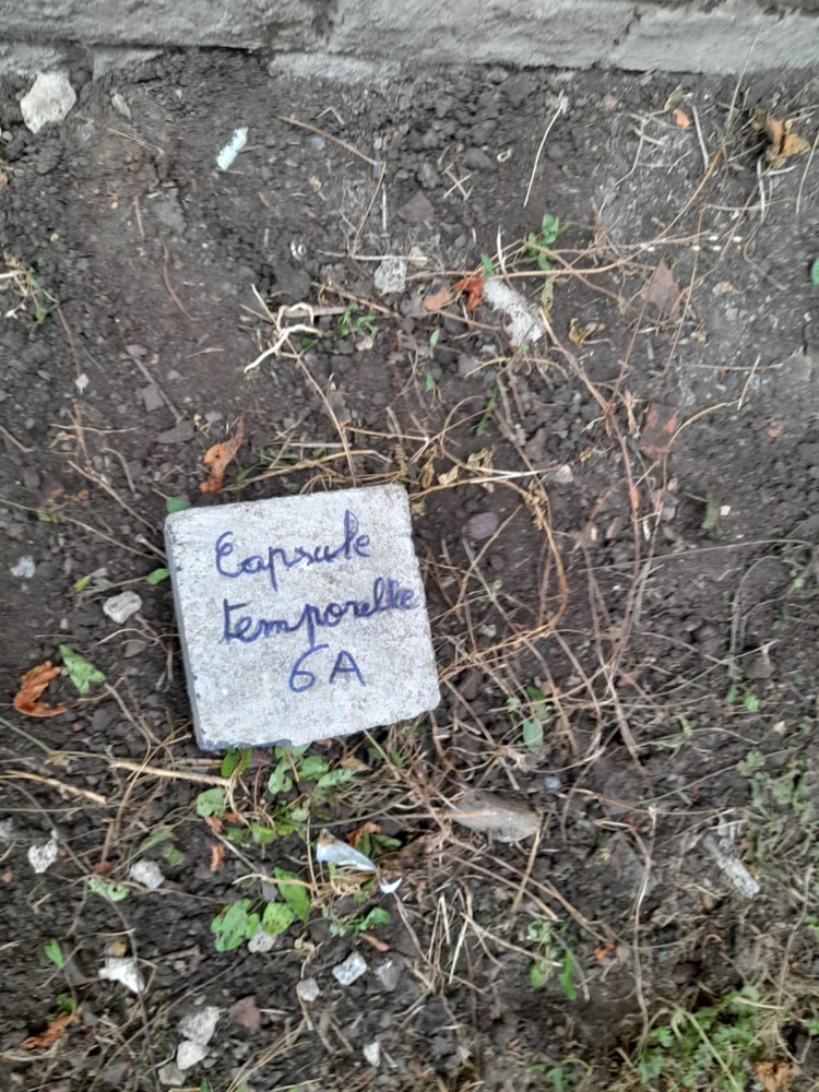 capsule_013.jpg