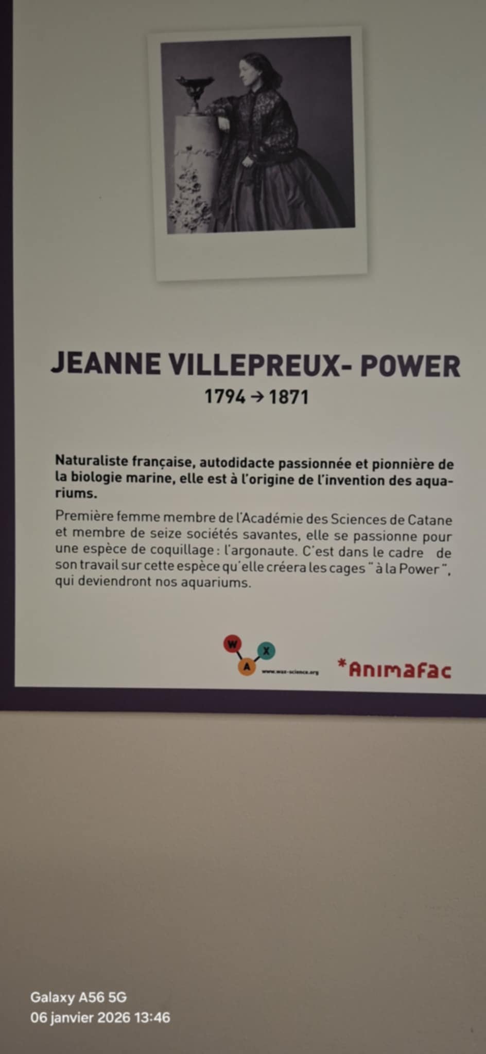 maisondelalacit_026.jpeg